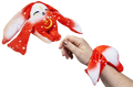 Rover Mini Wrist Hugger, a small red Moon Pals wrist plush
