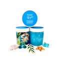 Ocean creatures playdough sensory kit with sea animals, shells and gems